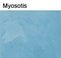 stuc, teinte:myosotis